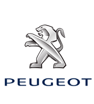 Cliente Peugeot